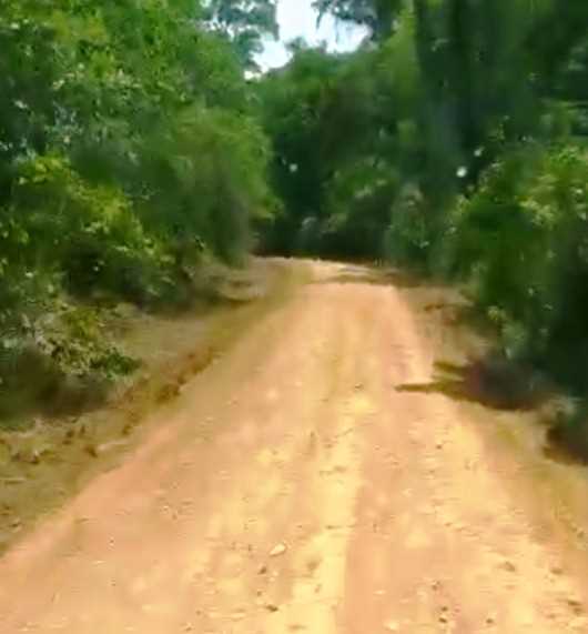 Camacã: Estradas do Córrego de Areia, Via Bagó e Pratinhas são recuperadas